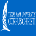International Achievement Scholarships at Texas A&M University in USA
